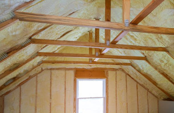 Best Types of Insulation in Spring Park, MN