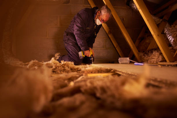 Best Commercial Insulation in Spring Park, MN